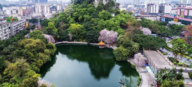金凯莱酒店(柳州站五星步行街店)图片