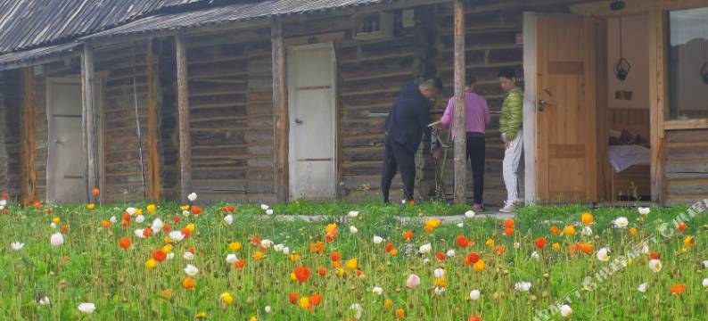 禾木花田山庄图片