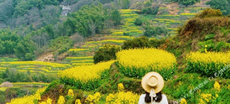 素朴·汀泉民宿(婺源篁岭店)图片