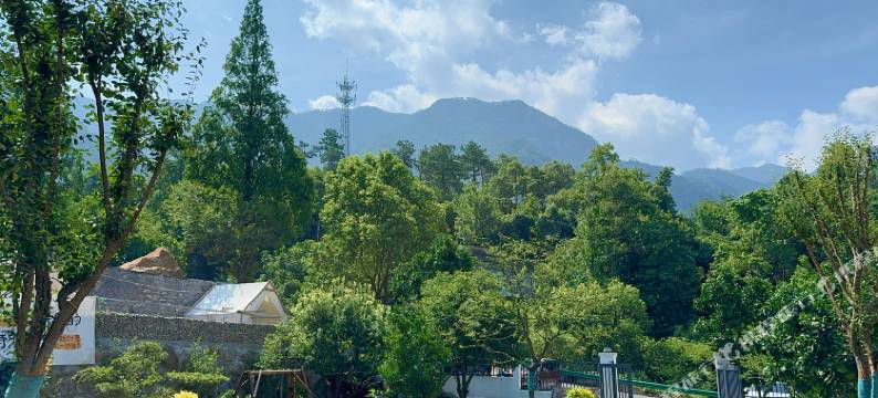 庐山枕山月民宿图片