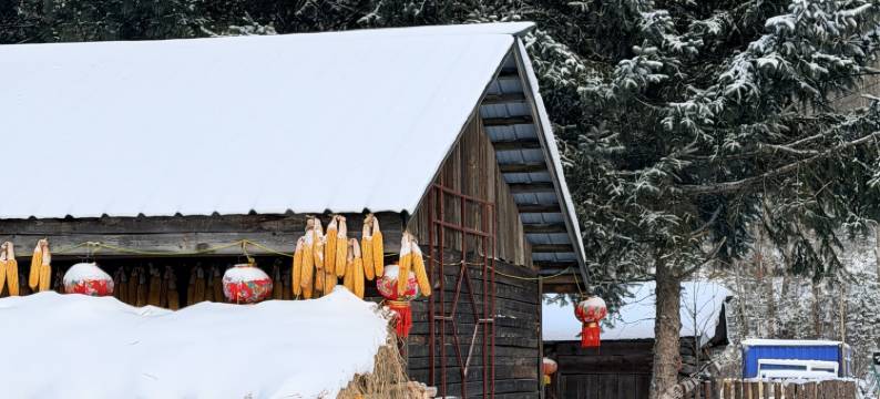 隐于山野｜A Retreat in Nature｜雪景民宿图片