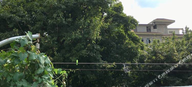 佛山客心空间国际青年旅舍图片