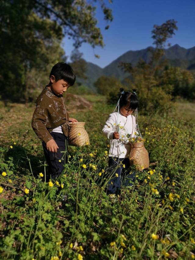 丽水遂昌乐领旗山侠隐庄园图片