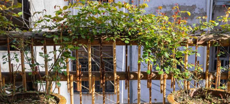 漫时光客栈(屯溪老街店)图片