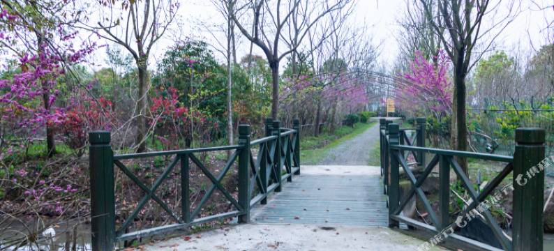 上海崇明锄禾六间堂民宿图片