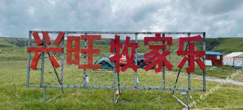 青海湖兴旺牧家乐图片