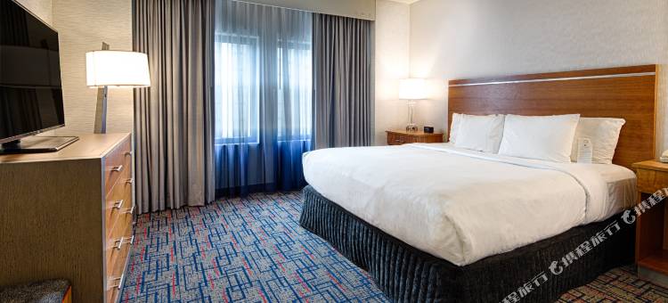 芝加哥奥黑尔罗斯蒙特希尔顿安泊酒店(Embassy Suites by Hilton Chicago O'Hare Rosemont)图片