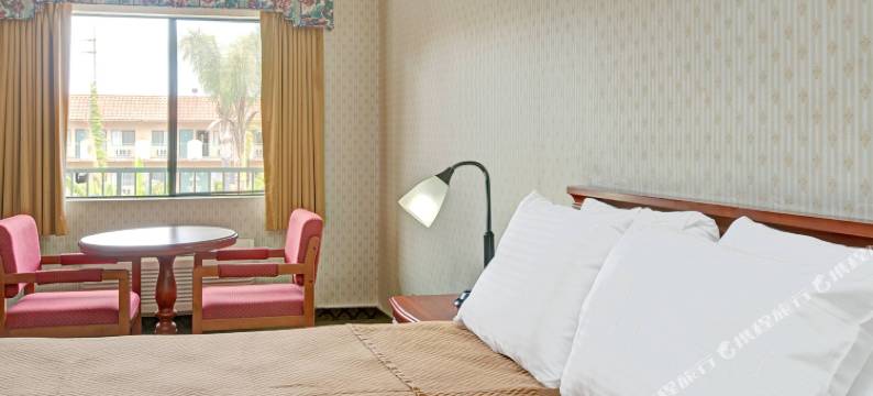 林伍德世纪Travelodge by Wyndham(Travelodge by Wyndham Lynwood)图片