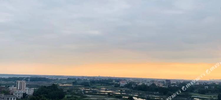 维也纳酒店(茂名电白树仔店)图片