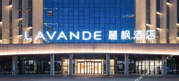 麗枫酒店(赵县城市综合馆店)图片