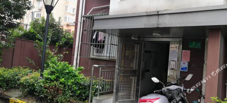 香樟树青年旅舍图片