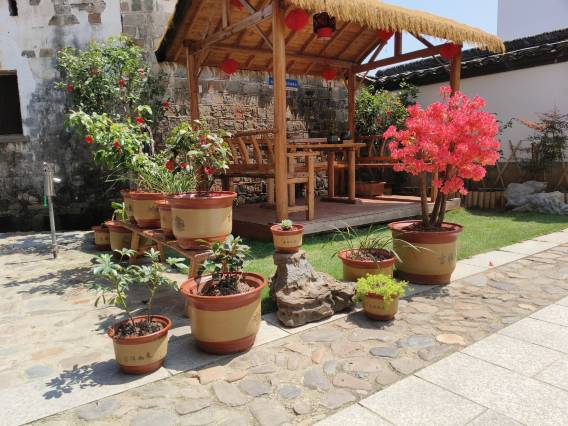 桃花潭桃缘居民宿(桃花潭风景区店)图片