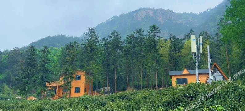 桐城雾聚茶谷民宿图片