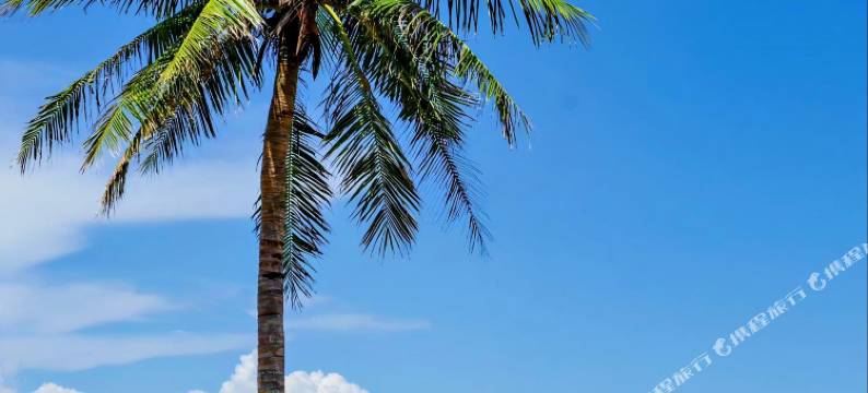 邂逅海岸酒店(滨海大道外滩中心店)图片