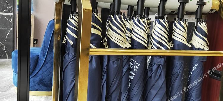 河池丽影精品酒店(白马步行街店)图片