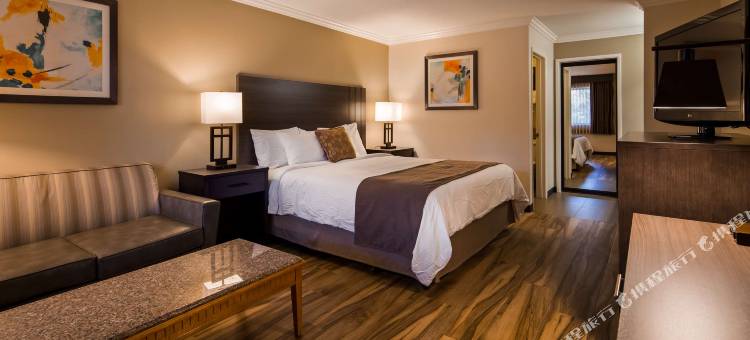 橘子镇机场北部贝斯特韦斯特优质酒店(Best Western Plus Orange County Airport North)图片