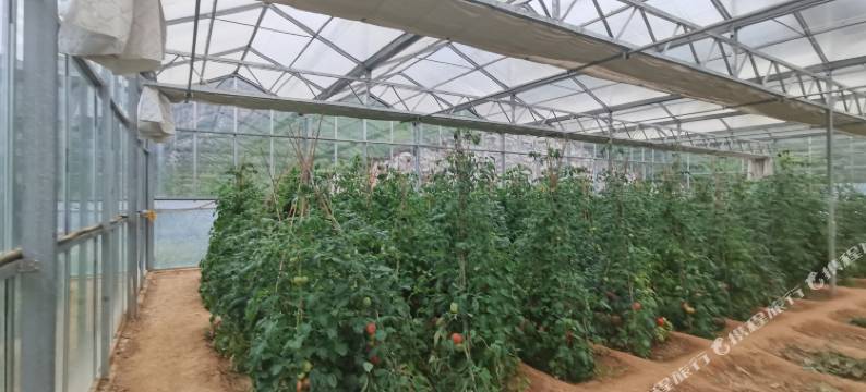 昔阳水库民宿图片