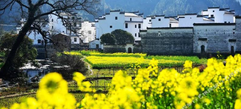 在荷间·婺源墅家百年故里西冲院图片