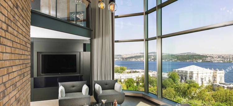 伊斯坦布尔博斯普鲁斯瑞士酒店(Swissotel the Bosphorus Istanbul)图片