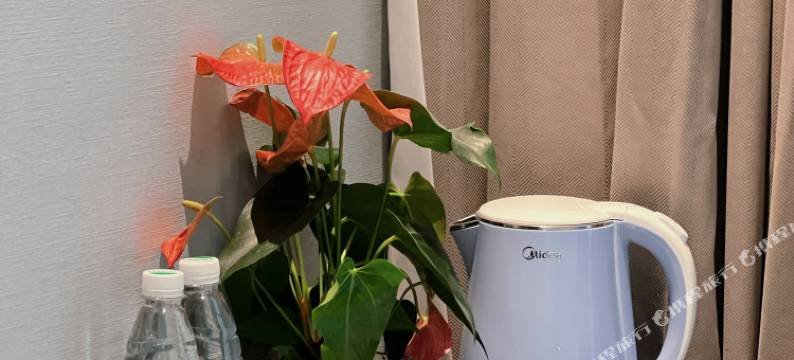 柏云别墅(庐山风景名胜区牯岭镇店 )图片