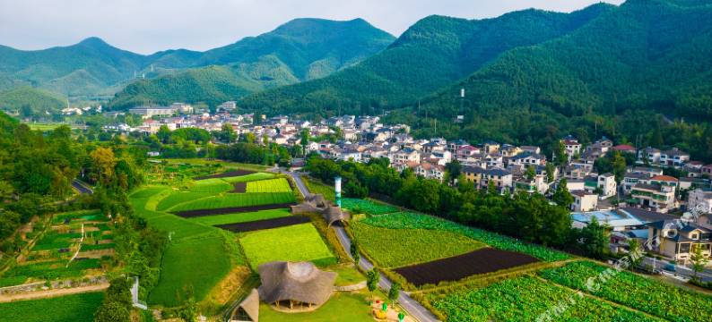 安吉青之恋舍民宿图片