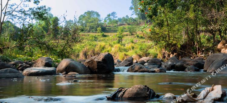Bobocabin塔维亚庞查克(Bobocabin The Tavia, Puncak)图片