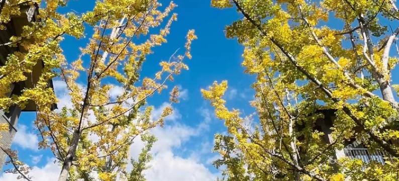 元舒·轻奢美宿图片