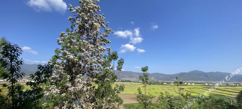 沙溪康踏踏音乐咖啡民宿图片