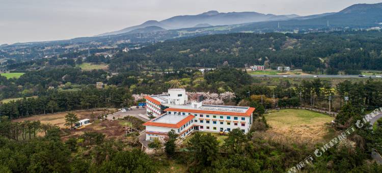 新韩青年度假酒店(New Korea Resort)图片