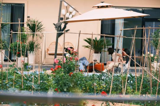 域上花开.花园度假美宿(特克斯八卦城店)图片