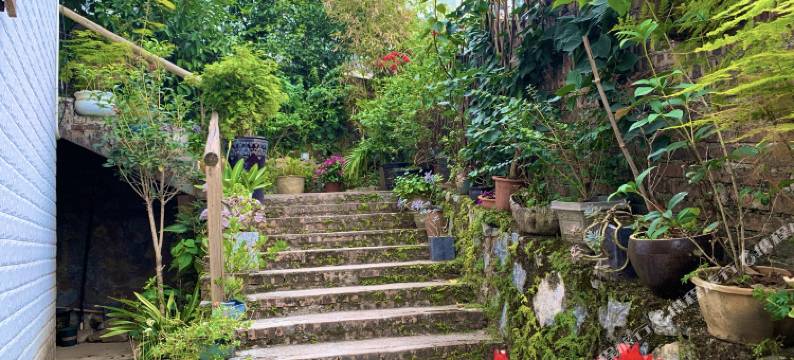 清远桃花湖自家院子民宿图片