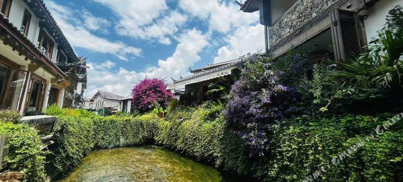 凤顾鹰山·古城观景度假客栈(丽江古城店)图片