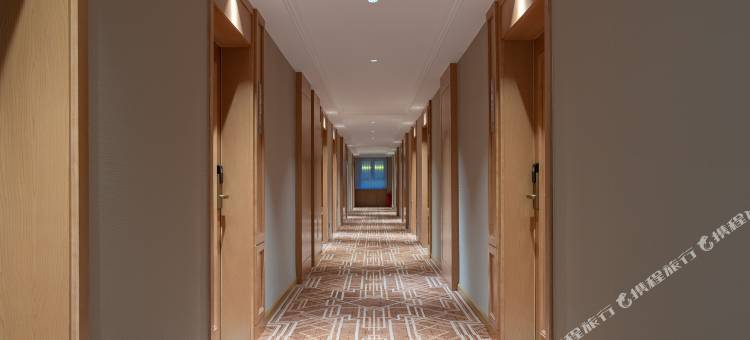 维也纳酒店(乌鲁木齐天山国际机场新天润店)图片