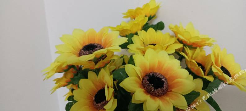 依安聚缘民宿图片