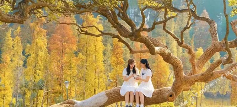 福瑞酒店﹙河池市南丹县汽车总站金芙蓉广场店﹚图片