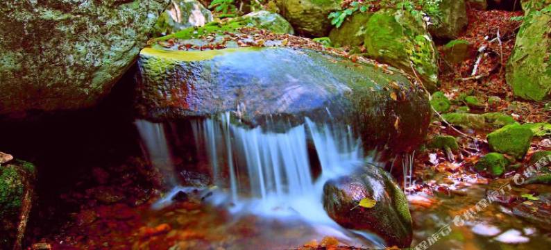 本溪县居枫缘农家院图片