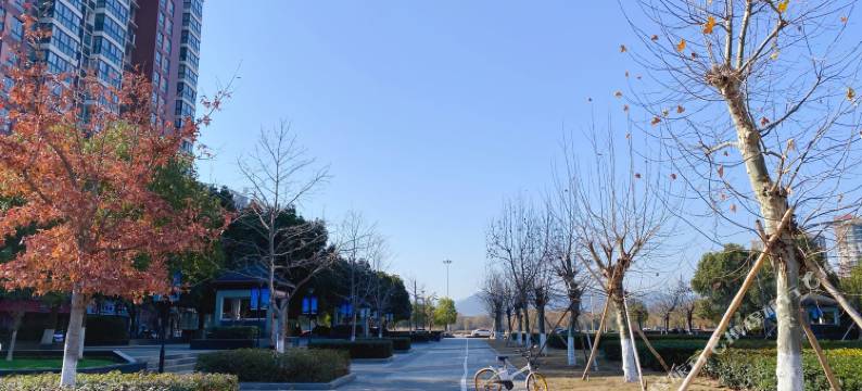 天台百花宾馆图片