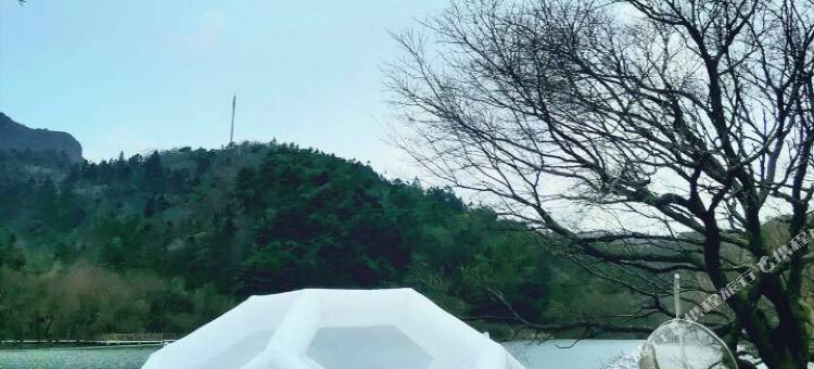 随县大洪山绿林山庄图片