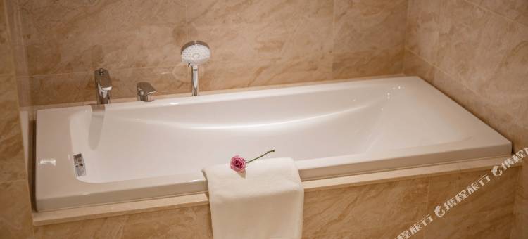 维也纳国际酒店(中山东区利和广场店)图片