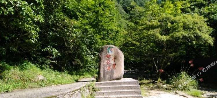岳西沐阳农庄图片