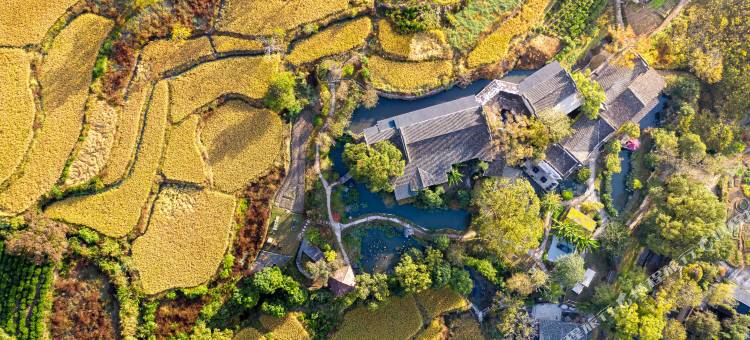 宏村塔川书院·稻亭溪竹美宿图片