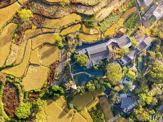 宏村塔川书院·稻亭溪竹美宿