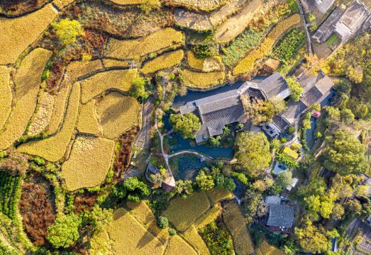 Hongcun Tachuan Academy · daotingxi zhumeisu over view