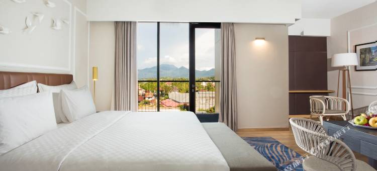 山口洋瑞士贝尔旅店(Swiss-Belinn Singkawang)图片