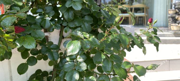 织金花舍民宿(织金洞店)图片