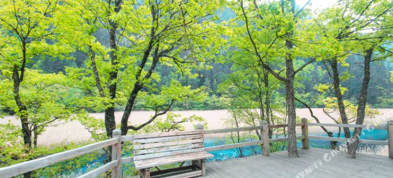 九寨沟倚望雅居客栈图片