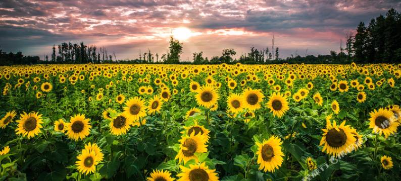 固始燕京宾馆图片