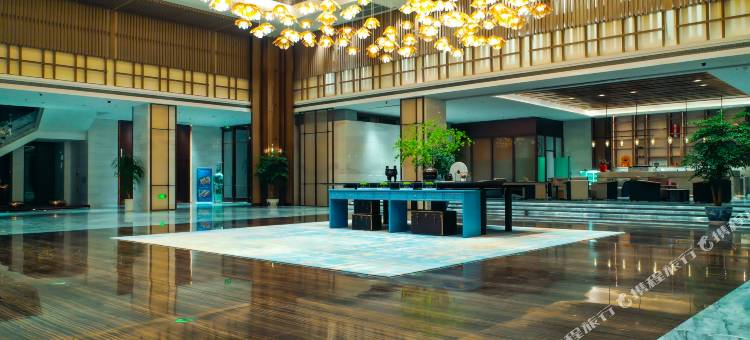 天长荣誉国际酒店图片