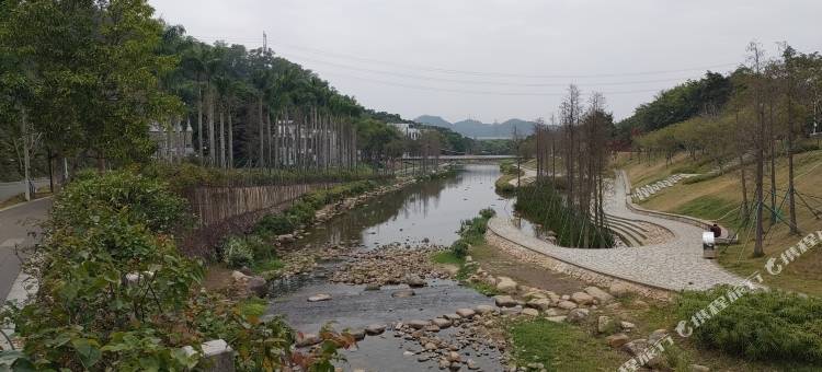 创梧桐民宿图片