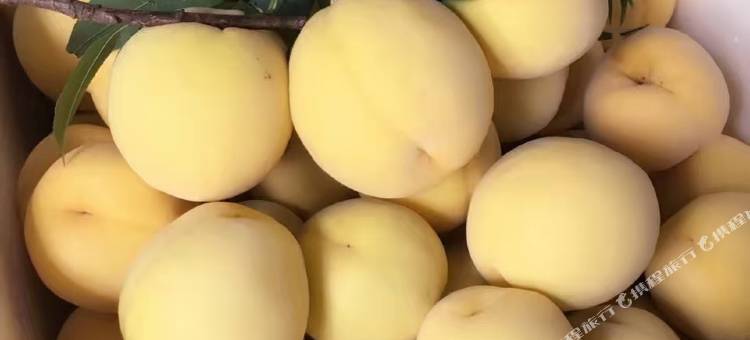 龍堡宾馆(炎陵路店)图片